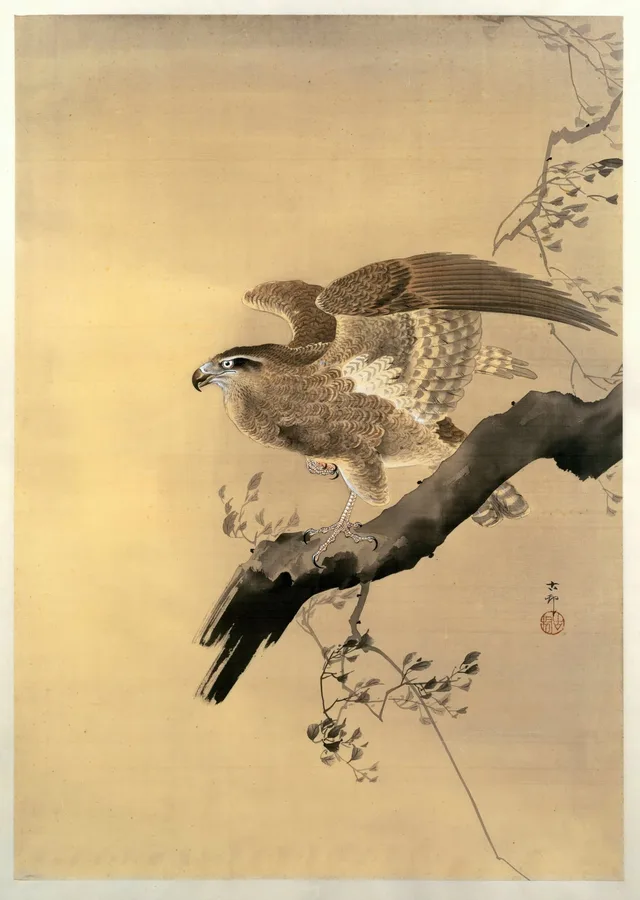 Hawk by Ohara Koson, a Japanese woodblock print
